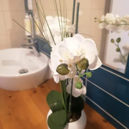 Graciosa - Sta Catarina Place Ponta Delgada