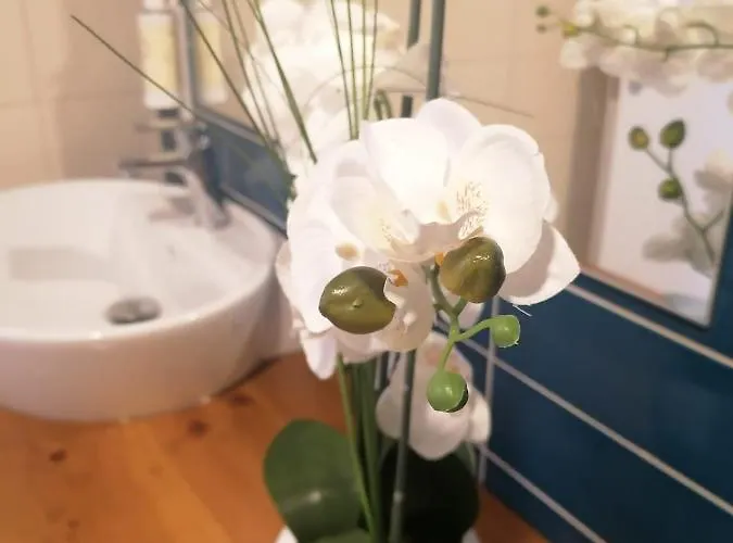 Graciosa - Sta Catarina Place Ponta Delgada